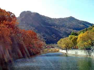 新澳天天开奖资料大全旅游团，智能泛目录